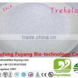 The Biggest Factory in China for Trehalose thumbnail-4