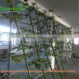 SJLJ013369 Artificial Bamboo Plant / Fake Plastic Bamboo Stick / Artificial Plant for Garden Fence Decoration thumbnail-6