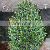 Wholesale Artificial Olive Tree , Green Bonsai Olive Tree thumbnail-4