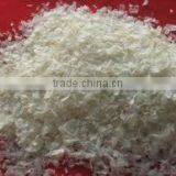 Chitin Sea Shells Chitin Sea Shells thumbnail-1