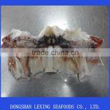 Frozen Giant Squid Neck