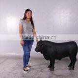 Definitive Angus Looking Left thumbnail-6