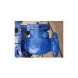 Cast Iron Check Valve