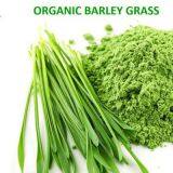 Natural Pure Barley Grass Powder thumbnail-1