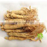 Good Quality White Panax Ginseng, Jilin Ginseng
