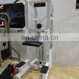 Double Functional Assistant Chin & Dip Machine Gym Equipment SF08 thumbnail-4
