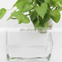 Fashionable New Long Glass Flower Vase thumbnail-2