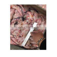 New Arriving Monkfish Tail for Human Consumption thumbnail-2