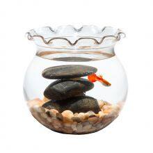 Glass Fish Bowl thumbnail-3