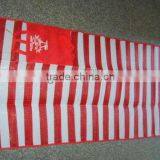 Folding Straw Beach Mat(2folding or 3 Foldable)/PP Beach Mat