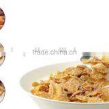 High Quality Breakfast Flavoring Machine/Breakfast Flavoring Machine/Corn Flakes Flavouring Machine thumbnail-5