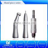 Dental Model LY-LP-04