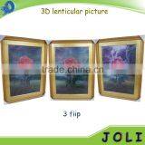 Home Decoration 3d Lenticular Photo 3d Lenticular Image Printing thumbnail-5