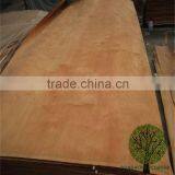 Face Veneer Types of Wood Veneer Red Olive Veneer thumbnail-2