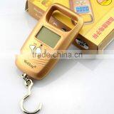 50kg 5g Hanging Scale Fishing Luggage Digital Pocket Weight Scales