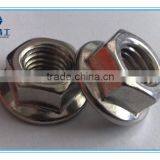 Hexagon Nuts With Flange Made in China thumbnail-2