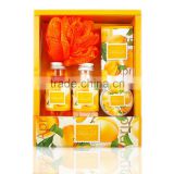 Apricot premium toiletry gift bath set