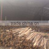 VERY CHEAP CORE VENEER VIETNAMMESE TROPICAL HARDWOOD FOR MAKING PLYWOOD thumbnail-5