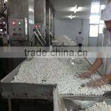 Halal Vanilla Flavour Mini Marshmallow Candy thumbnail-6