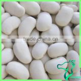 Exporter Of Large Type White Kidney Beans