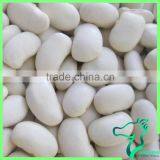 Large Type White Kidney Bean Origin In China 2016 New Crop thumbnail-6