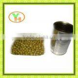 400g Canned Fava Beans Manufacturer in China thumbnail-3