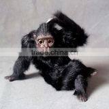 Custom Made Plastic Faux Plastic Gorilla Toys thumbnail-1