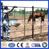 Hot Sale Galvanized Pipe Horse Fence Panels