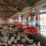 Metering Cylinder Pan Feeder of Broiler Breeder Equiment/rooster Feeding Line thumbnail-2