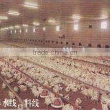 Floor Broiler Raising System