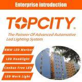 TOPCITY Elec-Tech Co.,Ltd company overview - view 1 thumbnail