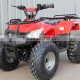 Top Quality 48V/60V Battery ATV by Shaft Drive/800W Quad ATV (TKE-A800-K) thumbnail-1