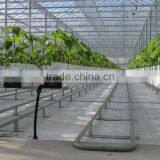 Hydroponics Greenhouse Multi Span Poly Film/PC Sheet thumbnail-3
