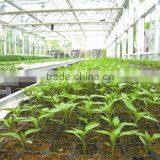 New Products Hotsale Rice Starting Seed Trays thumbnail-2