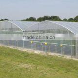 Multi Span Agricultural Greenhouses /good Used Greenhouse Sale/used Commercial Greenhouses thumbnail-1