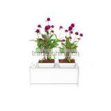 2014 Newest Office Decoration Mini Smart Garden thumbnail-2