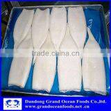 Squid Tube thumbnail-1