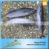 BQF Fish Bonito From China thumbnail-1