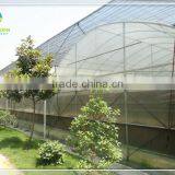 Long Life Multi Span Plastic Film Greenhouse for Hydropnonic Agriculture thumbnail-1