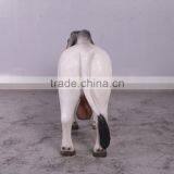 Definitive Brahman Looking Left thumbnail-4