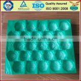 Customed Fruit Vacuum Thermoformed Plastic Tray thumbnail-1