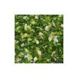 Sell Dehydrated Chive thumbnail-1