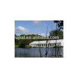 Party Tent thumbnail-1