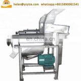 Pineapple Garlic Juice Making Machine for Juice Production Machine thumbnail-2