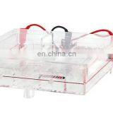 CA-SYS Cellulose Acetate Film (CAF) Electrophoresis thumbnail-2