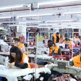 Yichang EH Apparel Technology Co.,Ltd company overview - view 1 thumbnail