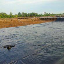 Geomembrane for Fish Farming Use in Italy thumbnail-4
