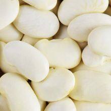 Large White Kidney Beans thumbnail-1