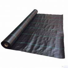 Weed Mat Ground Cover For Blueberry Anti Grass Cloth In Pv Anti Grass Cloth For Solar Power Plant Earth Net Fabric Weed Barrier thumbnail-4