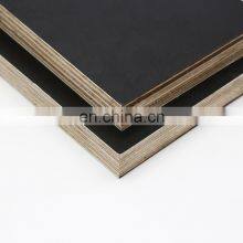 15mm 18mm Construction formwork marine plywood  Film Faced Plywood